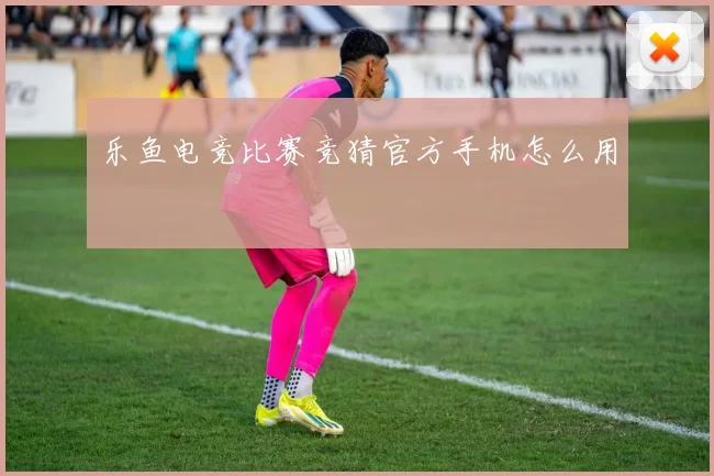 乐鱼电竞比赛竞猜官方手机怎么用