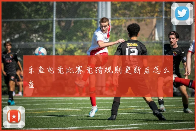 乐鱼电竞比赛竞猜规则更新后怎么查