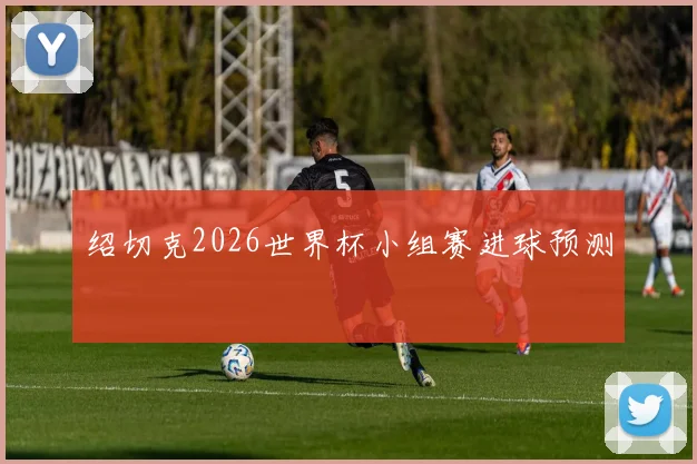 绍切克2026世界杯小组赛进球预测