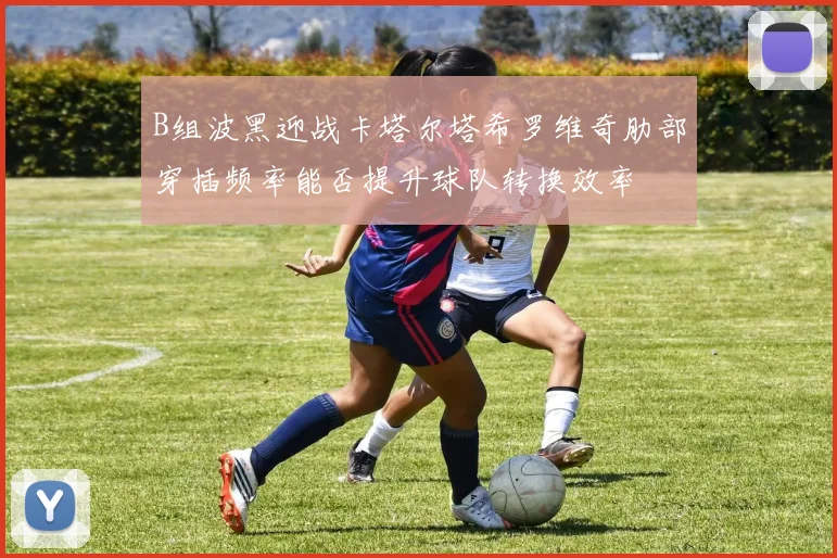 B组波黑迎战卡塔尔塔希罗维奇肋部穿插频率能否提升球队转换效率
