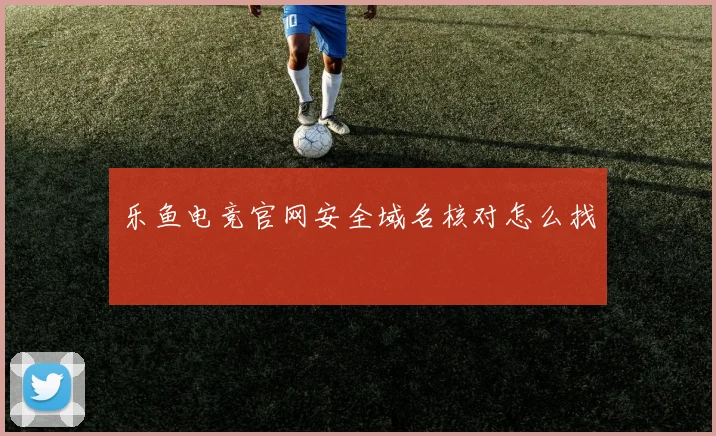 乐鱼电竞官网安全域名核对怎么找