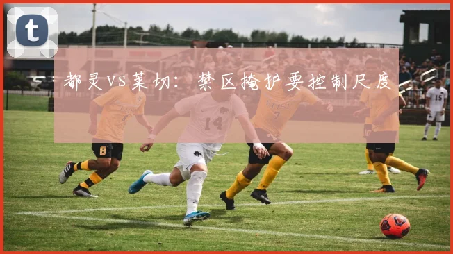 都灵vs莱切:禁区掩护要控制尺度