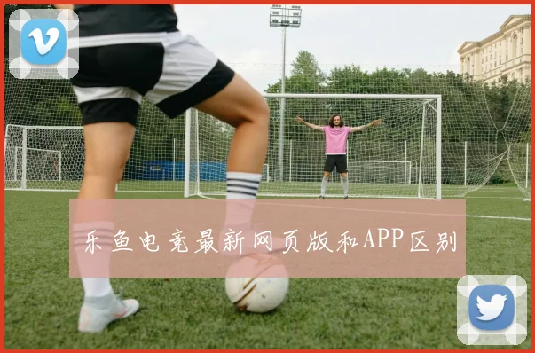 乐鱼电竞最新网页版和APP区别